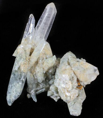 Himalayan Quartz Crystal Cluster with Chlorite Inclusions #63036
